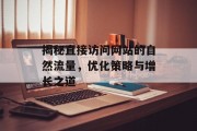 揭秘直接访问网站的自然流量,优化策略与增长之道 揭秘直接访问网站的自然流量,优化策略与增长之道