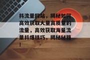 抖流量网站,揭秘如何高效获取大量高质量的流量,高效获取海量流量抖爆技巧,揭秘秘籍! 抖流量网站,揭秘如何高效获取大量高质量的流量,高效获取海量流量抖爆技巧,揭秘秘籍!
