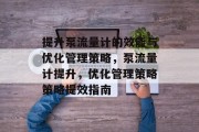 提升泵流量计的效能与优化管理策略，泵流量计提升，优化管理策略策略提效指南