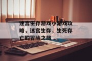 迷宫生存游戏小游戏攻略,迷宫生存,生死存亡的冒险之旅 迷宫生存游戏小游戏攻略,迷宫生存,生死存亡的冒险之旅