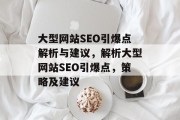 大型网站SEO引爆点解析与建议，解析大型网站SEO引爆点，策略及建议