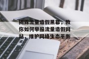 揭露流量造假黑幕，教你如何举报流量造假网站，维护网络生态平衡