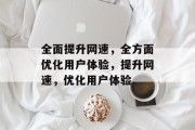 全面提升网速,全方面优化用户体验,提升网速,优化用户体验