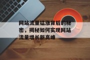 网站流量猛涨背后的秘密，揭秘如何实现网站流量增长新高峰