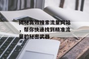 揭秘高效搜索流量网站,帮你快速找到精准流量的秘密武器 揭秘高效搜索流量网站,帮你快速找到精准流量的秘密武器