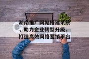 湖南推广网站搭建系统，助力企业转型升级，打造高效网络营销平台