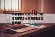 揭秘网站流量之谜,教你如何轻松掌握网站流量数据 揭秘网站流量之谜,教你如何轻松掌握网站流量数据
