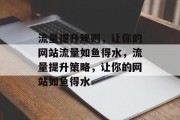流量提升规则，让你的网站流量如鱼得水，流量提升策略，让你的网站如鱼得水