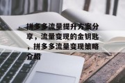 拼多多流量提升方案分享,流量变现的金钥匙,拼多多流量变现策略介绍