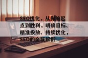 SEO优化,从你的起点到胜利,明确目标、精准投放、持续优化,SEO的全程解析 SEO优化,从你的起点到胜利,明确目标、精准投放、持续优化,SEO的全程解析