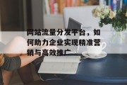 网站流量分发平台，如何助力企业实现精准营销与高效推广