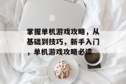 掌握单机游戏攻略，从基础到技巧，新手入门，单机游戏攻略必读