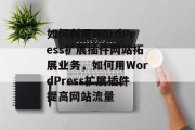 如何利用WordPress扩展插件网站拓展业务,如何用WordPress扩展插件提高网站流量 如何利用WordPress扩展插件网站拓展业务,如何用WordPress扩展插件提高网站流量