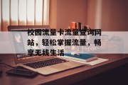 校园流量卡流量查询网站,轻松掌握流量,畅享无线生活 校园流量卡流量查询网站,轻松掌握流量,畅享无线生活