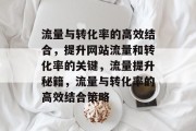 流量与转化率的高效结合,提升网站流量和转化率的关键,流量提升秘籍,流量与转化率的高效结合策略
