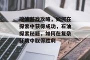 挖油游戏攻略,如何在探索中获得成功,石油探索秘籍,如何在复杂环境中取得胜利