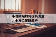 小说网站如何提高流量,全方位策略解析 小说网站如何提高流量,全方位策略解析