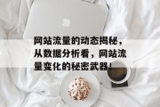 网站流量的动态揭秘,从数据分析看,网站流量变化的秘密武器! 网站流量的动态揭秘,从数据分析看,网站流量变化的秘密武器!