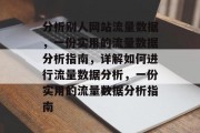 分析别人网站流量数据，一份实用的流量数据分析指南，详解如何进行流量数据分析，一份实用的流量数据分析指南