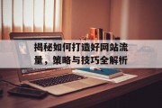 揭秘如何打造好网站流量,策略与技巧全解析 揭秘如何打造好网站流量,策略与技巧全解析