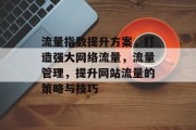流量指数提升方案，打造强大网络流量，流量管理，提升网站流量的策略与技巧