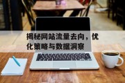 揭秘网站流量去向,优化策略与数据洞察 揭秘网站流量去向,优化策略与数据洞察