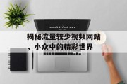 揭秘流量较少视频网站,小众中的精彩世界 揭秘流量较少视频网站,小众中的精彩世界