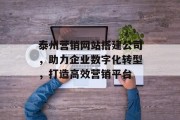泰州营销网站搭建公司，助力企业数字化转型，打造高效营销平台