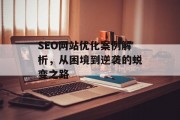 SEO网站优化案例解析，从困境到逆袭的蜕变之路