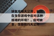 缺氧攻略大公开，如何在生存游戏中应对这种极端的环境？，应对缺氧，生存技巧大公开