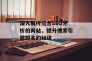 深入解析适合SEO分析的网站,提升搜索引擎排名的秘诀 深入解析适合SEO分析的网站,提升搜索引擎排名的秘诀