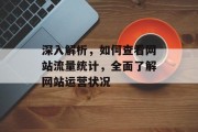 深入解析,如何查看网站流量统计,全面了解网站运营状况 深入解析,如何查看网站流量统计,全面了解网站运营状况