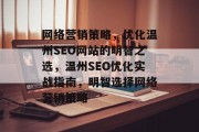 网络营销策略,优化温州SEO网站的明智之选,温州SEO优化实战指南,明智选择网络营销策略 网络营销策略,优化温州SEO网站的明智之选,温州SEO优化实战指南,明智选择网络营销策略