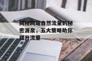 揭秘网站自然流量的秘密源泉,五大策略助你提升流量 揭秘网站自然流量的秘密源泉,五大策略助你提升流量