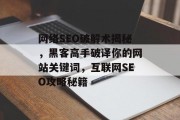 网络SEO破解术揭秘,黑客高手破译你的网站关键词,互联网SEO攻略秘籍 网络SEO破解术揭秘,黑客高手破译你的网站关键词,互联网SEO攻略秘籍