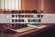 提升流量增幅策略，从数字营销到转化，数字营销策略，从0到1提升流量增幅