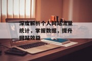 深度解析个人网站流量统计,掌握数据,提升网站效益 深度解析个人网站流量统计,掌握数据,提升网站效益