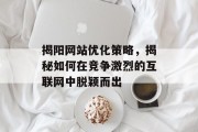 揭阳网站优化策略，揭秘如何在竞争激烈的互联网中脱颖而出