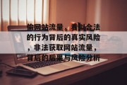 偷网站流量,看似合法的行为背后的真实风险,非法获取网站流量,背后的后果与风险分析 偷网站流量,看似合法的行为背后的真实风险,非法获取网站流量,背后的后果与风险分析