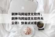 刷神马网站优化软件，刷神马网站优化软件大公开！快来试试看吧!