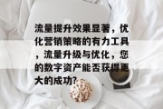 流量提升效果显著,优化营销策略的有力工具,流量升级与优化,您的数字资产能否获得更大的成功? 流量提升效果显著,优化营销策略的有力工具,流量升级与优化,您的数字资产能否获得更大的成功?