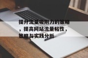 提升流量吸附力的策略,提高网站流量粘性,策略与实践分析 提升流量吸附力的策略,提高网站流量粘性,策略与实践分析