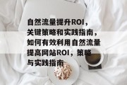 自然流量提升ROI，关键策略和实践指南，如何有效利用自然流量提高网站ROI，策略与实践指南
