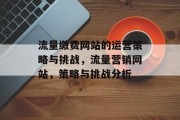 流量缴费网站的运营策略与挑战，流量营销网站，策略与挑战分析