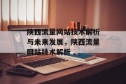 陕西流量网站技术解析与未来发展，陕西流量网站技术解析