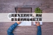 流量为王的时代,揭秘靠流量的网站崛起之路 流量为王的时代,揭秘靠流量的网站崛起之路