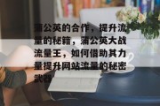 蒲公英的合作,提升流量的秘籍,蒲公英大战流量王,如何借助其力量提升网站流量的秘密武器