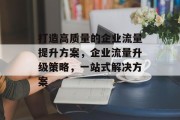 打造高质量的企业流量提升方案,企业流量升级策略,一站式解决方案
