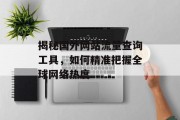 揭秘国外网站流量查询工具，如何精准把握全球网络热度