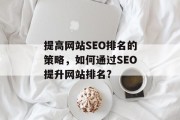 提高网站SEO排名的策略，如何通过SEO提升网站排名?